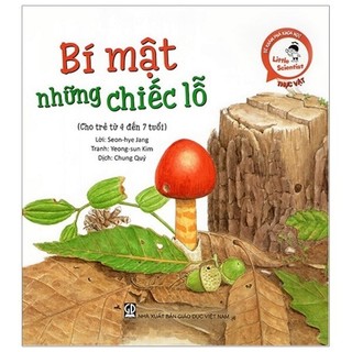 Sách - Bí Mật Những Chiếc Lỗ (Tái Bản 2019)