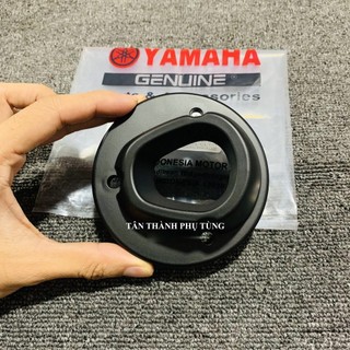 Chụp đít pô TFX