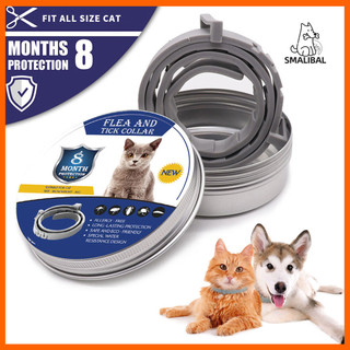Pet Dog Puppy Cat Mosquito Flea Tick Repellent Collar Côn trùng Repeller Vòng cổ