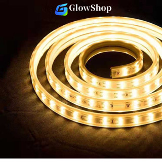  Dây Đèn LED 20 30 50 100m Dạng Hạt 220V Hàng Đôi Dẫn – Trang Trí Không Thấm Nước 