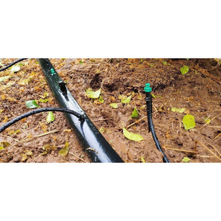 100 Béc bọ tưới phun góc 360 Chân 5mm