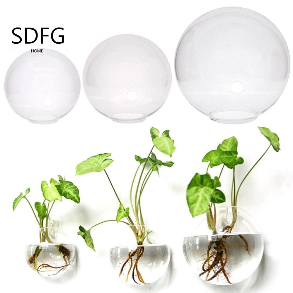 Hoa SDFG SDFG, bình treo tường dày, cây hoa trong suốt thủy canh độc đáo