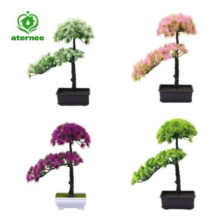 Aternee Thông Nhân Tạo Cây Cảnh Cây Nhân Tạo Trang Trí Để Bàn Trang Trí Giả
