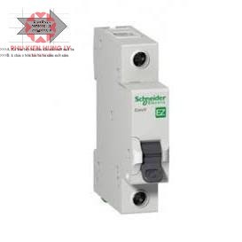 Át 1 cực Schneider EZ9 16,20,25,32A