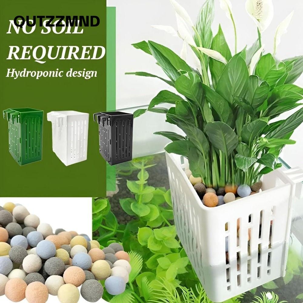 Qutzzmnd Bể Cá Thủy Canh Giỏ Trồng, Chậu Thủy Tinh Trồng Bể Treo Giá Đỡ Cây Bể Cá, Lưu Vực Cảnh Quan Cây Nước Có Móc Cốc Trồng Bể Cá