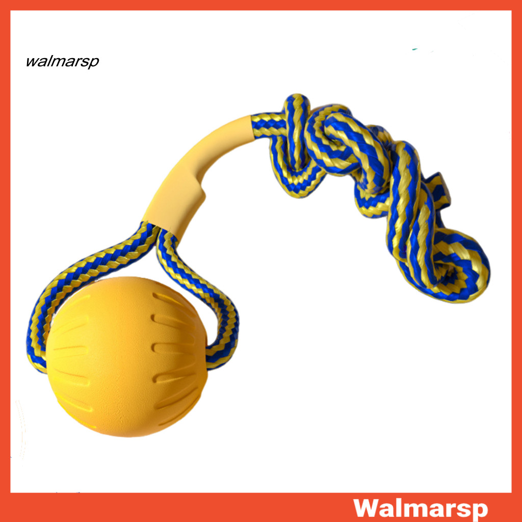 [WMP] Đồ chơi huấn luyện chó giống lớn Đĩa bay Đồ chơi cho chó Bộ đồ chơi tương tác cho chó nhai Đĩa