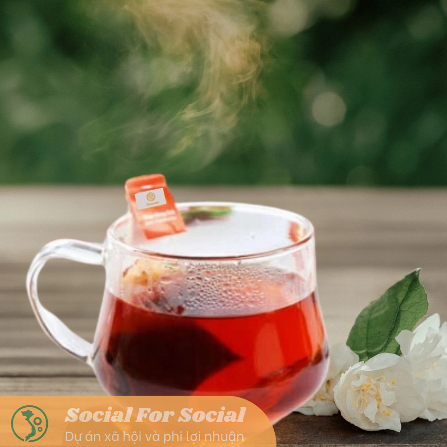 Thảo Hồng Trà Túi Lọc - Trà Shan Tuyết Cổ Thụ Trên 100 Năm Tuổi