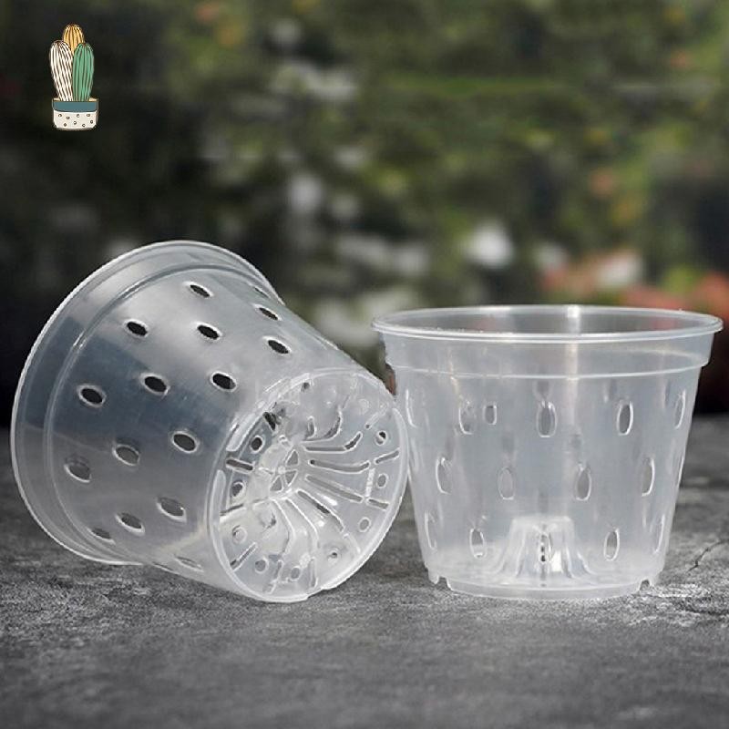 Chậu Hoa Lan 6 Gói Chậu Hoa Lan Trong Suốt 4 Inch Có Lỗ & Đĩa Nhựa Thoáng Khí Có Rãnh Hoa Lan Trồng 