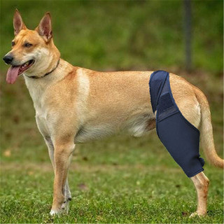 Thú Cưng Chó Băng Chó Chấn Thương Chân Đầu Gối Nẹp Dây Bảo Vệ Cho Chó Khớp Băng Quấn Doggy Đồ Dùng Y Tế Chó Phụ Kiện