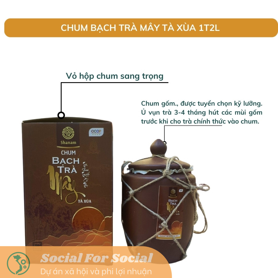 Chum Bạch Trà Mây Tà Xùa 1T2L 80G - Trà Shan Tuyết Cổ Thụ Shanam