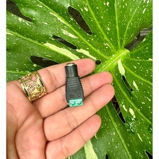 ( 5 CÁI ) Jack nguồn đực - cái DC 5.5x2.1mm có ốc vặn.