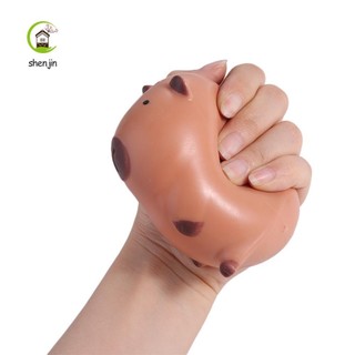 Shenjin Capybara Bóp Đồ Chơi, Động Vật Hoạt Hình Mềm Capybara Đồ Chơi Phục Hồi Chậm, Bóp Đồ Chơi Cảm Giác Mới Lạ Dễ Thương Vui Nhộn Mô Phỏng Capybara Trang Trí Quà Tặng Ngày Lễ Cho Trẻ Em