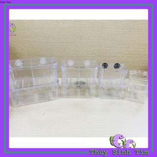 Lồng Đẻ Mica Nhiều Size Dành Cho Cá Cảnh