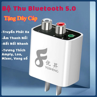 (Tặng Dây Cáp) Bộ thu Bluetooth 5.0 YS-06, bộ thu bluetooth cho loa, Amply, Mixer cao cấp