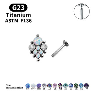 2 chiếc G23 titan tai đinh tán mũi F136 Cơ thể xuyên trang sức Lip stud trang sức