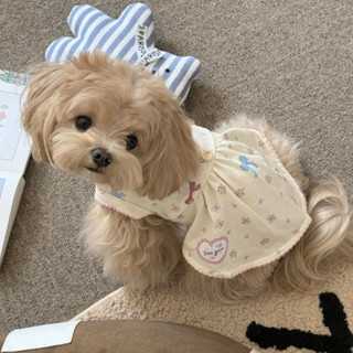 Đầm không tay hoa dễ thương cho chó nhỏ Mèo mùa xuân mùa hè Quần áo thú cưng Teddy Bichon Mặc nhà 
