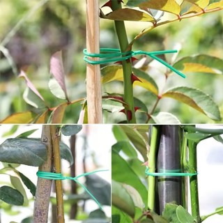 CUỘN DÂY CỐ ĐỊNH LAN ĐỦ CỠ (LOẠI CÓ DAO CẮT SẴN)-GIOVA