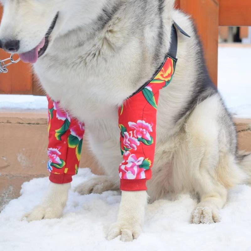 Northeast Big Flower New Year Big Dog Elbow Pad Joint Protection Husky Alaska Golden Retriever Labra