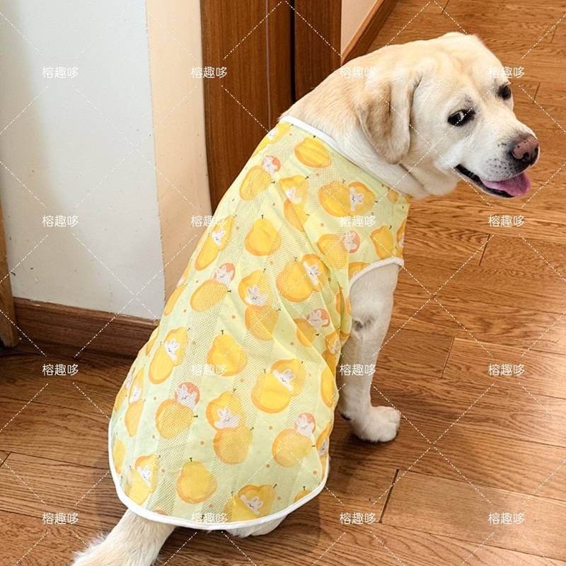 Large Dog Clothes Sun Protection Clothing Mesh Breathable Summer Cute Anti-Lint Medium Large Dog Clo