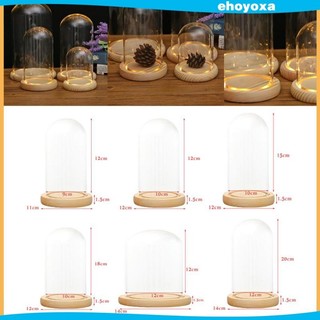 Hộp kính trong suốt trưng bày lọ có đèn LED và đế gỗ mộc mạc