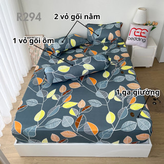 Bộ ga giường thun lạnh 4 món R294 in 3D REE Bedding đủ size drap trải nệm