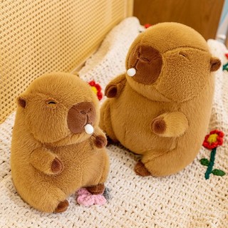 Gấu Bông Chuột CapyBara Bóp Mũi Thú Bông Đồ Chơi gấubông capybara Thú Nhồi Bông Toy gấubông capybara