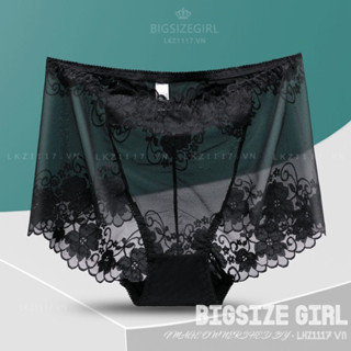 Bigsize Quần Lót Ren Nữ Xuyên Thấu Sexy Lưng Cao Hàng Cao Cấp Quần Chíp Nữ
