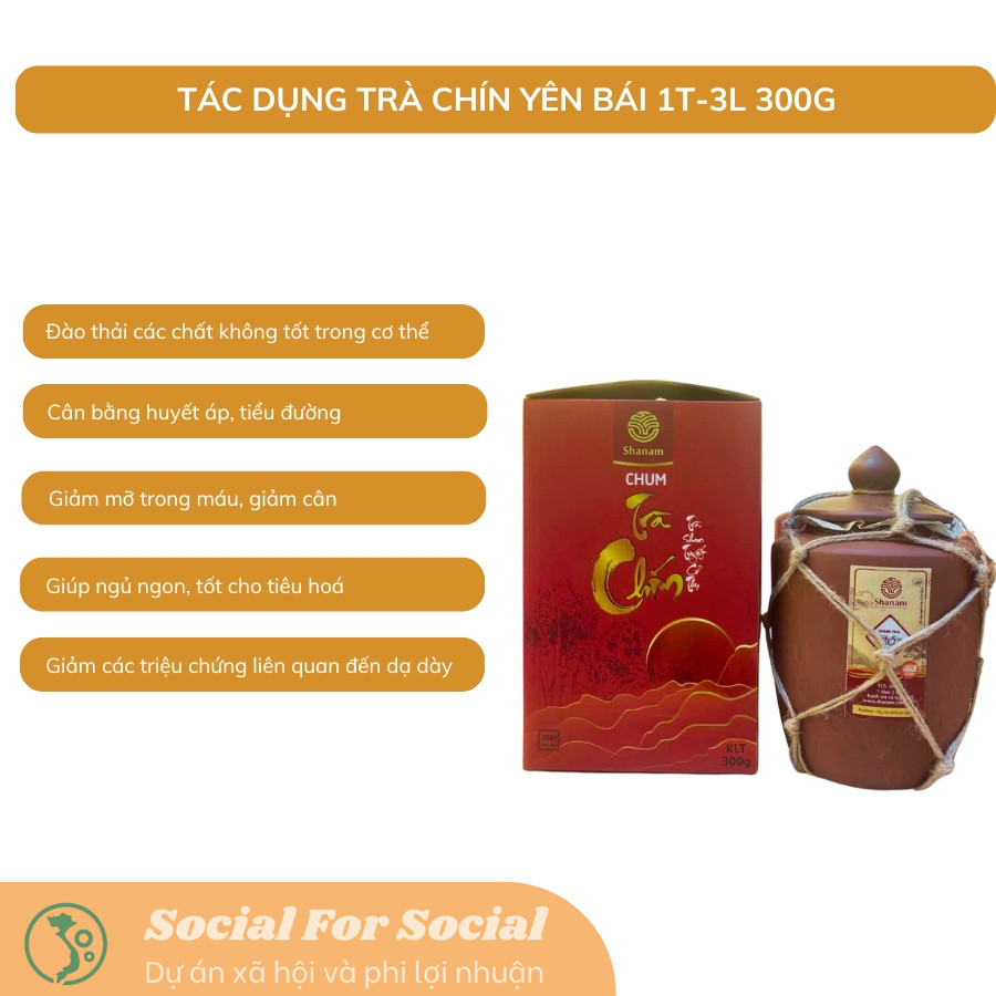 Chum Trà Chín, Trà Shan Tuyết Cổ Thụ Hảo Hạng Yên Bái 1 Tôm 3 Lá 300g - Shanam