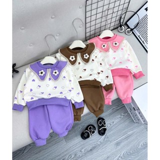 Bộ quần áo dài tay thu đông, chất liệu NỈ dày họa tiết  hoa CỔ bèo cho bé gái size 6-16kg