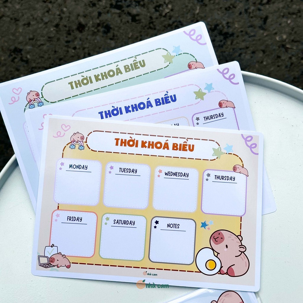 Set 3 Thời Khoá Biểu Hot Trend Design By Cam
