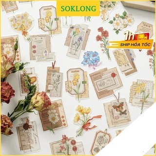 Sticker hoa và tranh/ thiệp vintage Sổ KLONG, sitcker hình tag list tùy chọn trang trí bullet journal
