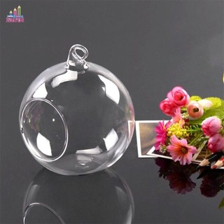 Jesjeliu Chai trồng thủy tinh trong suốt Tiệc cưới