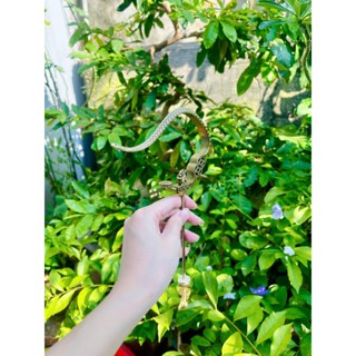  Móc chống xoay kim tiền dạ cổ và trắng - Móc lồng chim chào mào 