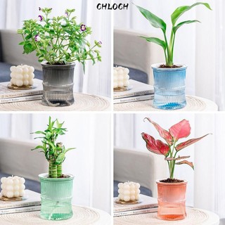 Chậu hoa CHLOCH, Chậu trồng cây tre trang trí phòng bằng nhựa, Bình hoa trong suốt tự tưới nước sáng tạo Chậu nhỏ để bàn
