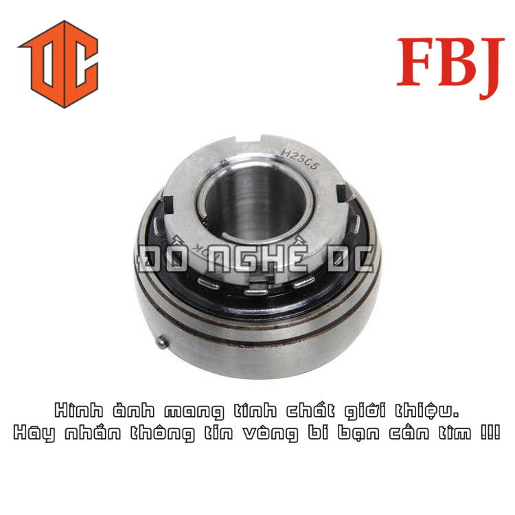 Vòng bi FBJ NJ2304 NF211 NU206 NF304 NU307 NJ2204 NJ211 NJ2210 NJ208 NF215 NF307 NJ2306 NJ2209 NF309