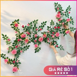  Dây giả - Dây Hoa Hồng Leo Nhập Khẩu cao cấp bông to,siêu đẹp-Dây hoa giả dài 1,8m Decor,Trang Trí Tường Nhà Quán Cafe 