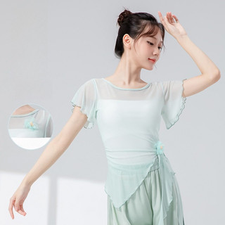 Múa Cổ Điển Mới Móng Tay Hoa Dây Mỏng Tay Ngắn Lưới Áo Hoa Hiệu Suất Thực Hành Quần Áo