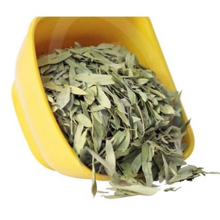 100gr Lá phan tả diệp giúp nhuận tràng, giảm cân, giảm béo PTD01 
