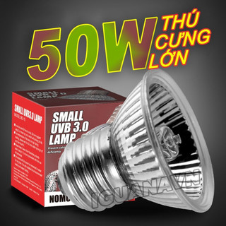 ĐÈN SƯỞI ẤM 3.0 HEATING, BÒ SÁT, CHÓ MÈO, VẸT GÀ, RÙA NƯỚC, giá sỉ ship cấp tốc. KÍCH THÍCH HOẠT ĐỘNG THÚ CƯNG PET-SINGU