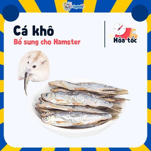 Cá khô loại ngon cho Hamster