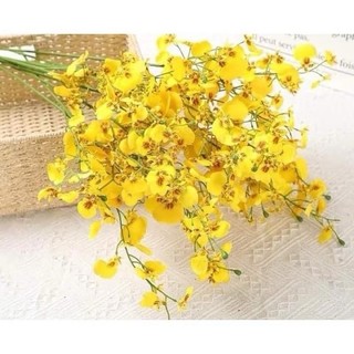 Hoa Lan Vũ Nữ Cành 8 Nhánh Cao 105cm Decor - Hoa Lan Giả Màu Vàng Sang Trọng Cho Trang Trí