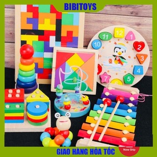 Đồ chơi thông minh phát triển trí tuệ cho trẻ 2 3 4 5 6 tuổi, giáo cụ montessori cho bé (giá 1 sản phẩm)