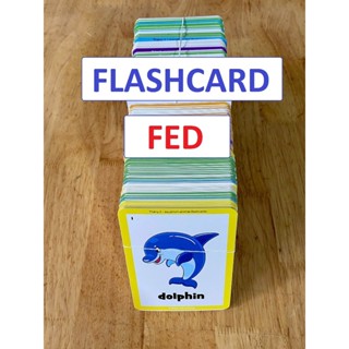 Flashcard Fed trọn bộ Tách Lẻ đã lọc thẻ trùng, thẻ fed Học Từ Vựng Tiếng Anh