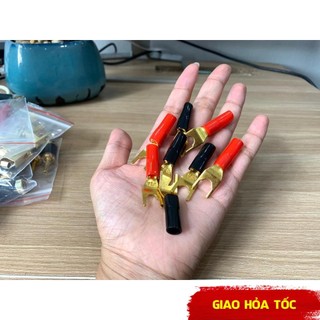 [Giá hủy diệt] [Ảnh thật] Jack Loa Càng Cua USA