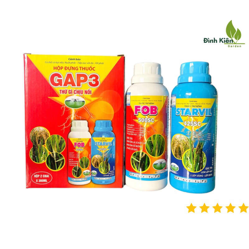 Cặp đôi GAP3 của ĐỒNG THÁP SEN HỒNG.