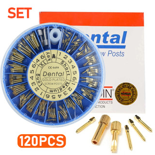 120 Cái / hộp Nha Khoa Thép Không Gỉ Vít Bài Nha Khoa Mạ Vàng Vít Bài TITANIUM Vít Bài Cho Nha Sĩ Dụng Cụ Nha Sĩ Nha Khoa