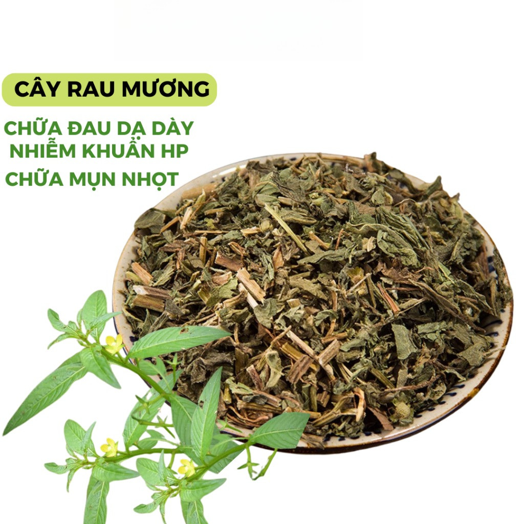 Cây rau mương trào ngược dạ dày cây rau máng mương khô hp dạ dày xanh thơm sạch CRM