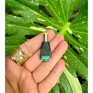 ( 5 CÁI ) Jack nguồn đực - cái DC 5.5x2.1mm có ốc vặn.