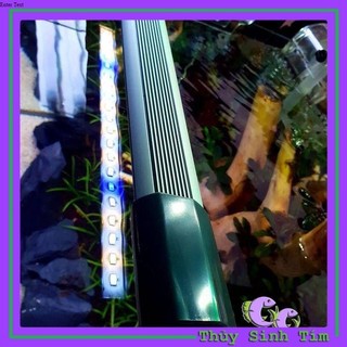 Đèn LED Thủy Sinh Siêu Sáng DF