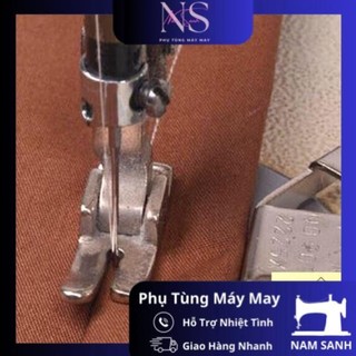 Nam châm cử